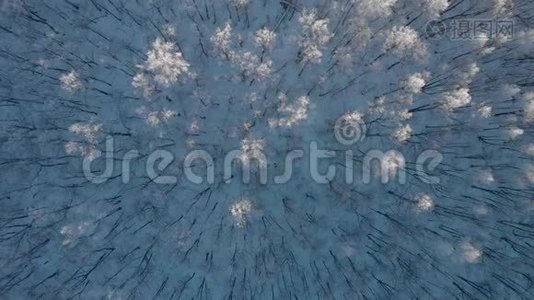 冬季寒冷的森林，冬日的鸟瞰视频