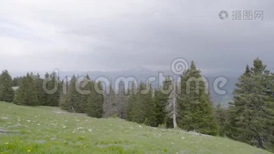 从草坪到森林和山脉的美丽景色。 行动。 夏日全景。 山区景观、森林和视频