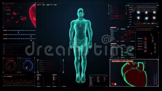 放大旋转体和扫描心。 人体心血管系统，蓝色X光.. 在数字显示用户界面面板上。视频