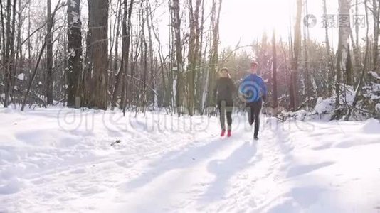 冬季森林。 在晨公园的小径上奔跑的年轻男女。 美丽的阳光视频