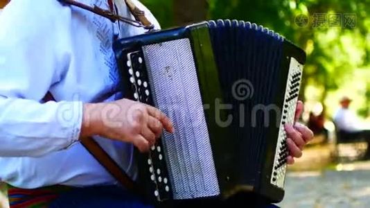 演奏乌克兰民族乐器视频
