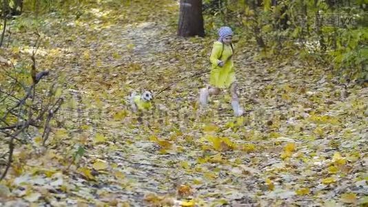 宠物、家庭和友谊的概念。 秋天公园里有只狗跑的小女孩视频
