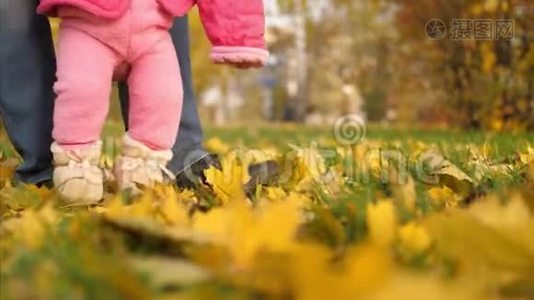 父亲教小女儿在公园里走黄秋枫叶上路..视频