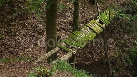 森林中一座被废弃的、长满青苔的旧木桥。4k，慢动作视频