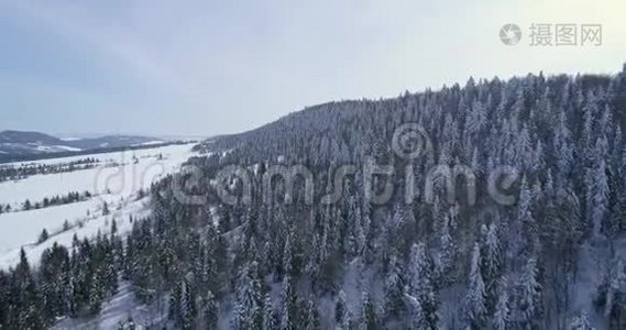 鸟瞰：风景，冬季自然，美丽的欧洲森林山旅游，白色著名的田园旅游视频