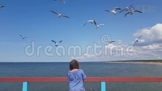 美丽的年轻女子站在码头上喂海鸥，海鸥在海边的飞行中喂海鸥，喂海鸥视频