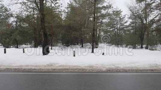 年轻迷人的白种人女孩在冬天带着耳机在雪地公园跑步。 侧面射击视频