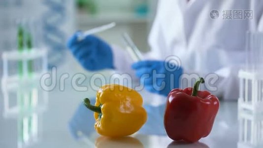 实验室桌上的辣椒蔬菜，中心研究员检查食品安全视频