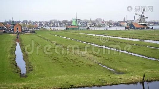 Zaanse Schans村附近的田野。视频