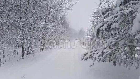 森林里的雪道视频