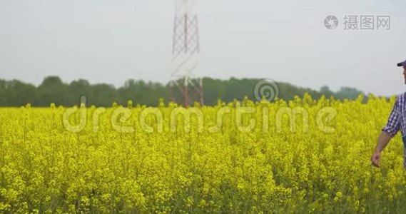 农民在油菜田做笔记视频