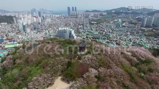 韩国釜山乌鲁松山公园樱花泉，亚洲...�。视频