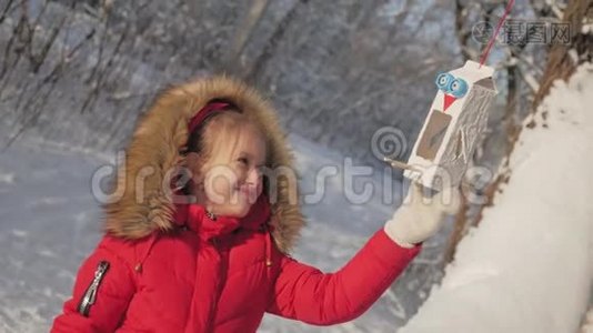 冬天公园里有个漂亮可爱的女孩，带着喂鸟器。 在树上喂鸟，寒假和假期概念，儿童视频
