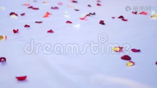 白色地板上的红色玫瑰花瓣。 婚礼花饰视频