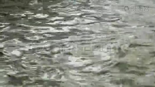 河水扰动的水面上荡漾着绿水视频