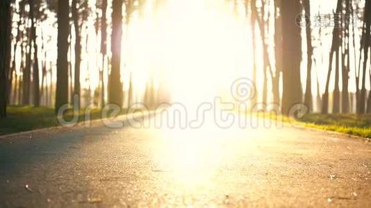 年轻女子从朝阳的灯光中出现。 她跑得很快。 女孩通过相机，连续快速慢跑视频