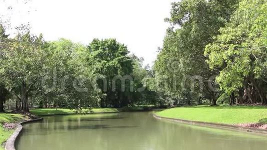 宁静的花园有水库的景象，水，树木，灌木和风影响的叶子。视频