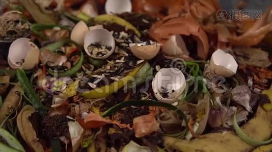 有机厨房垃圾，用于蔬菜、水果和各种食物堆肥。视频