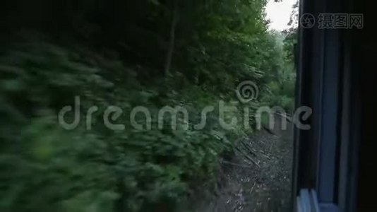 从火车窗外眺望茂密的森林后面路过的树木视频