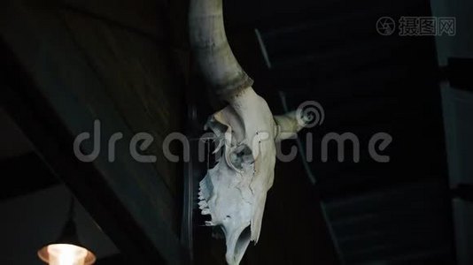 亨特的头骨奖杯挂在黑暗的房间里，有着巨大角的令人毛骨悚然的牛骨架视频