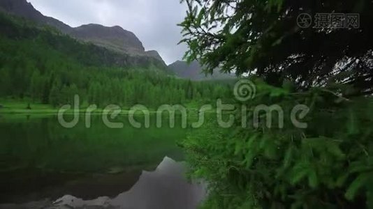 森林中央的绿湖和阿尔卑斯山的高山视频