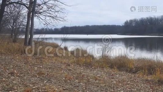 阴天时森林岸边的秋湖视频