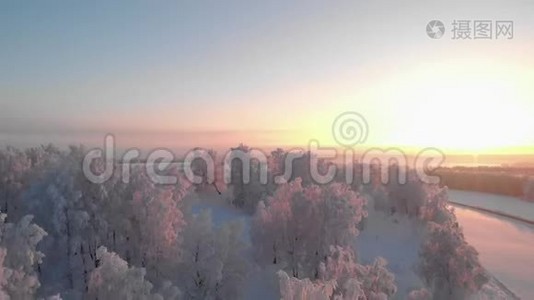 日出时冬天霜林的景色视频
