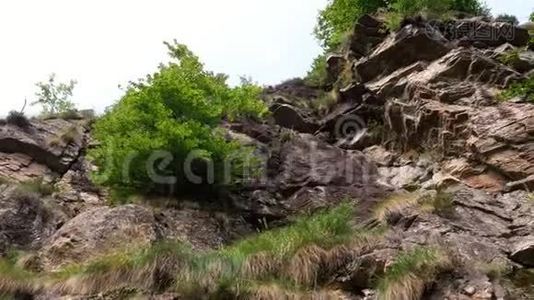 自然，高山山中一道亮丽的山林景观.. 陡峭的悬崖上生长着灌木丛，树木.. 夏季视频