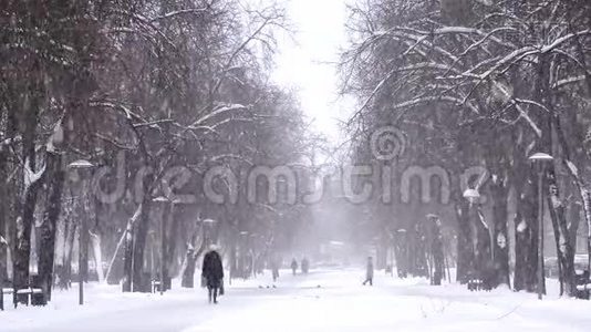 降雪城，人走雪道.. 暴风雪，暴风雪视频