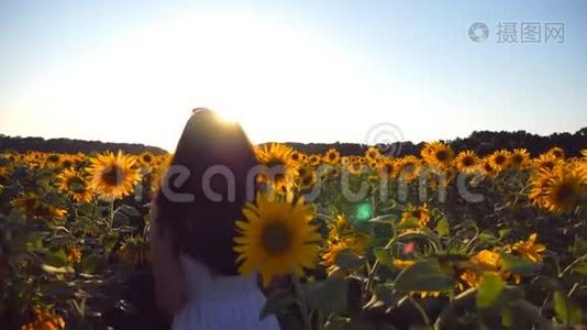 夕阳西下，小女孩沿着向日葵的田野走着。 阳光照在背景上。 跟着女人走视频