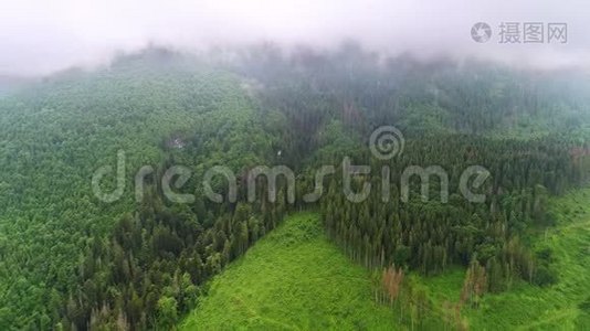 云雾覆盖的山林景观视频