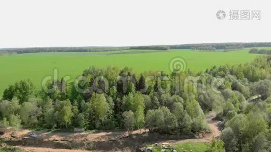 白俄罗斯森林和田野航空摄影视频