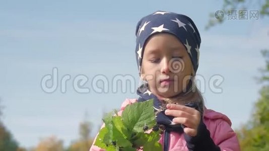 秋天在森林里吃黑莓的小女孩。视频