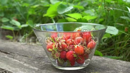在绿色背景的老花园里，用新鲜的有机草莓把玻璃碗合上视频