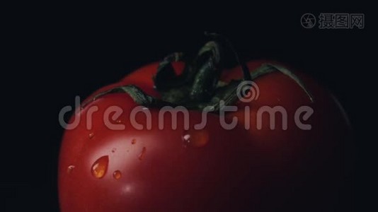 涓滴番茄。 框架。 红番茄的特写和黑色背景上的水滴视频