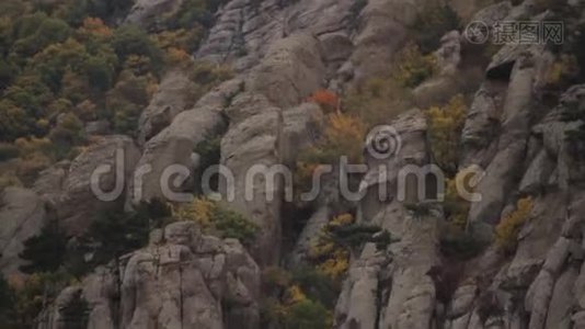 石材纹理特写背景.. 中枪。 美丽的山景和岩石的背景。 在石头上视频