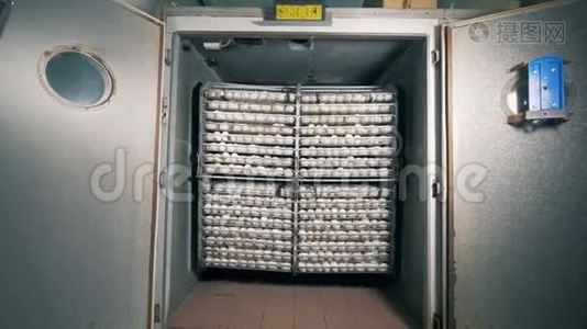 一批收集的白蛋的工厂单位视频