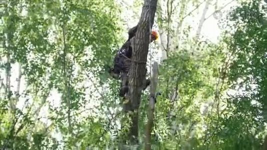 树上的一个人在绳子上的一个特殊装置上拉下一个树架，另一个人拿走了这个框架视频