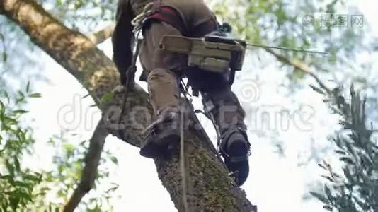 一个穿着特别衣服的壮汉用电锯爬上一棵树砍树枝视频