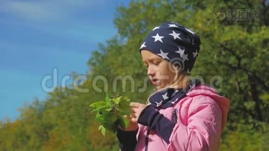 秋天在森林里吃黑莓的小女孩。视频