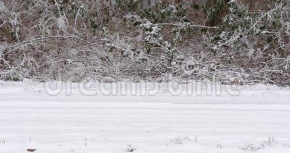 在雪道上经过的.视频