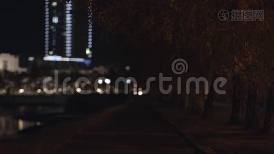 秋日夜城胡同，灯笼树.. 在发光的前灯背景下有一条小巷的空路视频