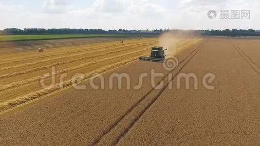 收割者用鹳在田里收割小麦视频