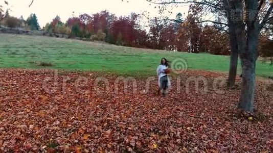 年轻漂亮的女孩在秋天的森林里玩得很开心。 她拿着一束黄叶。 她跑过去看着视频