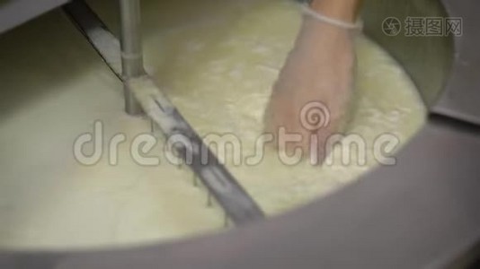 一名工业工人在奶酪车间为软新鲜奶酪做凝乳。视频
