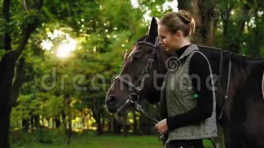 年轻的微笑的女骑手在阳光明媚的日子里，在公园里用额头上的白斑来抚摸棕色的马视频