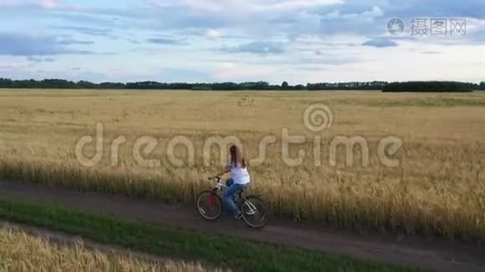 女孩和一个男人骑自行车沿着麦田。 和家人一起骑自行车旅行。 从高处看美丽的风景视频