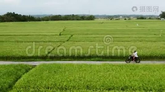 摩托车司机骑在稻田上。 户外拍摄，乡村景观.. 旅游和体育摄影。 速度视频