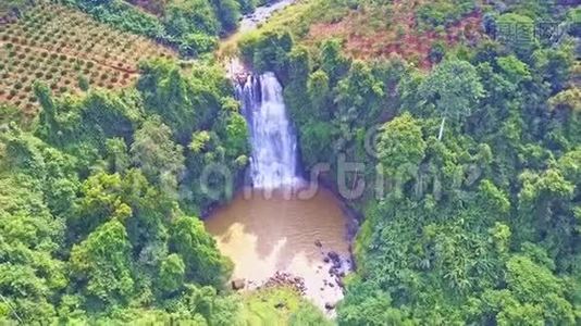 在绿色高地、高山河和瀑布之上，探险者转身视频