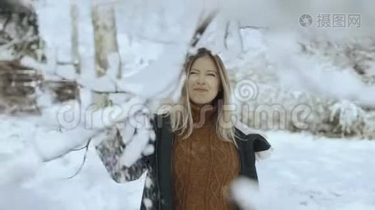 在雪地森林里走来走去的漂亮女人视频